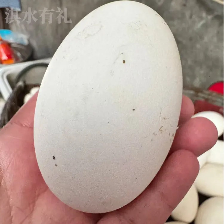 大鹅蛋正宗土鹅蛋孕妇农家散养谷物喂养大鹅蛋林下散养正宗土鹅蛋