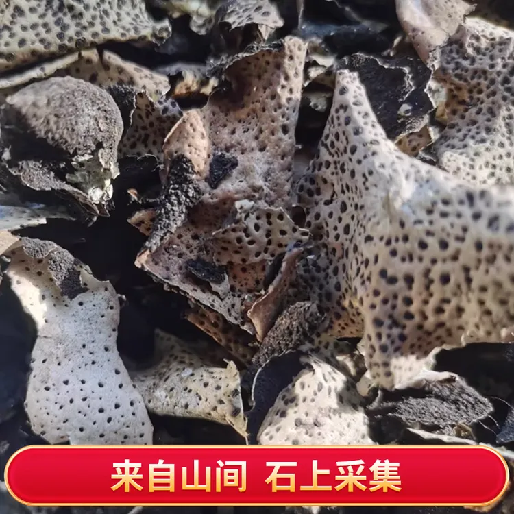 九华山石耳 石耳免洗无沙岩菇25g包邮石菇 安徽黄山干货岩耳