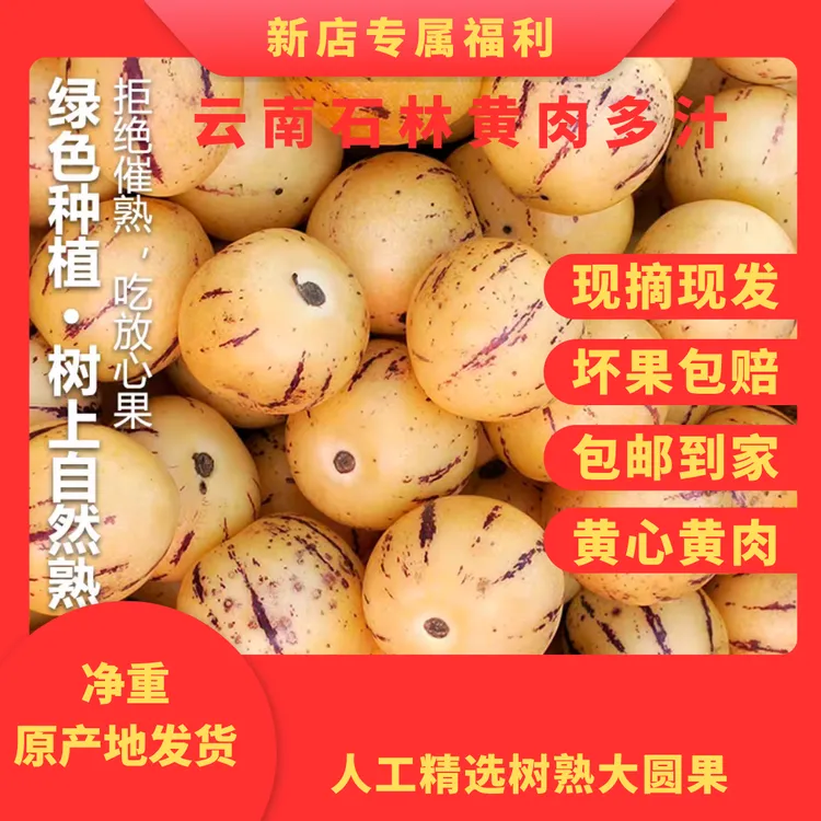 正宗云南石林黄肉圆果果新鲜现摘应季清甜多汁新鲜人参果