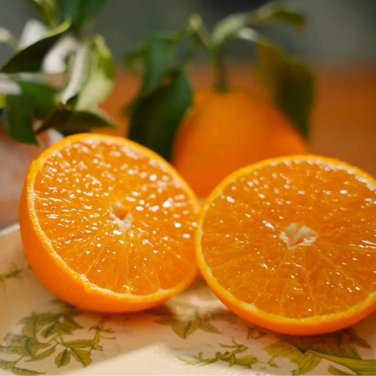 红美人果冻橙高山红土露天种植香甜多汁