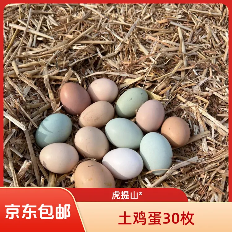虎提山农村跑山土30散养走地新鲜土含10绿壳土鸡蛋