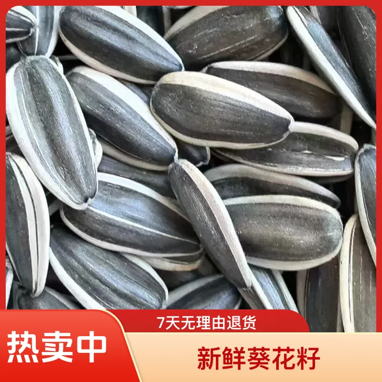 【生葵瓜子】内蒙古优质原味大颗粒新鲜葵花籽500g*2袋