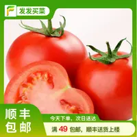 发发平价西红柿0.7-0.9斤/份（2-3个果）（个别批次没有果蒂）山东省