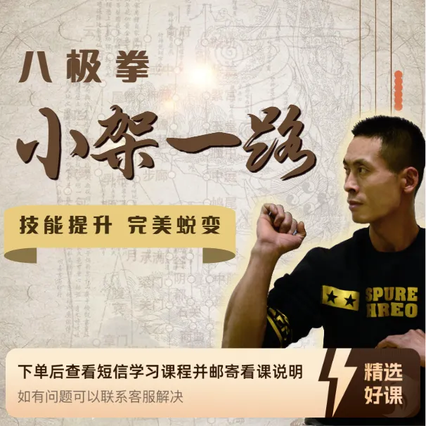 神肘太保八极拳小架一路精讲（留意短信解锁课程）