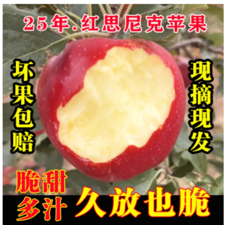 正宗陕西苹果红思尼克洛川产地直发新鲜现摘脆甜多汁孕妇水果ly1.