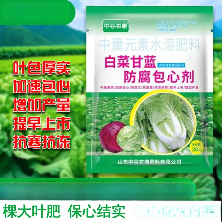 大白菜防腐包心剂白菜甘蓝包心花菜菌病烂心软腐专用调节剂叶面肥