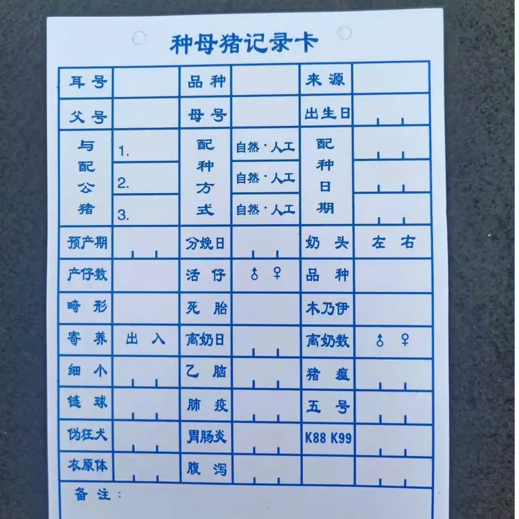 母猪信息记录卡 加厚母猪明细卡人工养猪记录卡养殖业方便记录卡