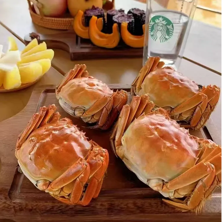 2025年 熟醉蟹全母 顺丰包邮