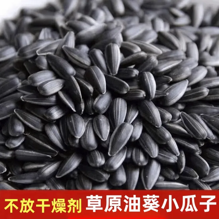 2025内蒙古新货黑珍珠油葵小瓜子 原味五香奶香味皮薄肉厚小葵花