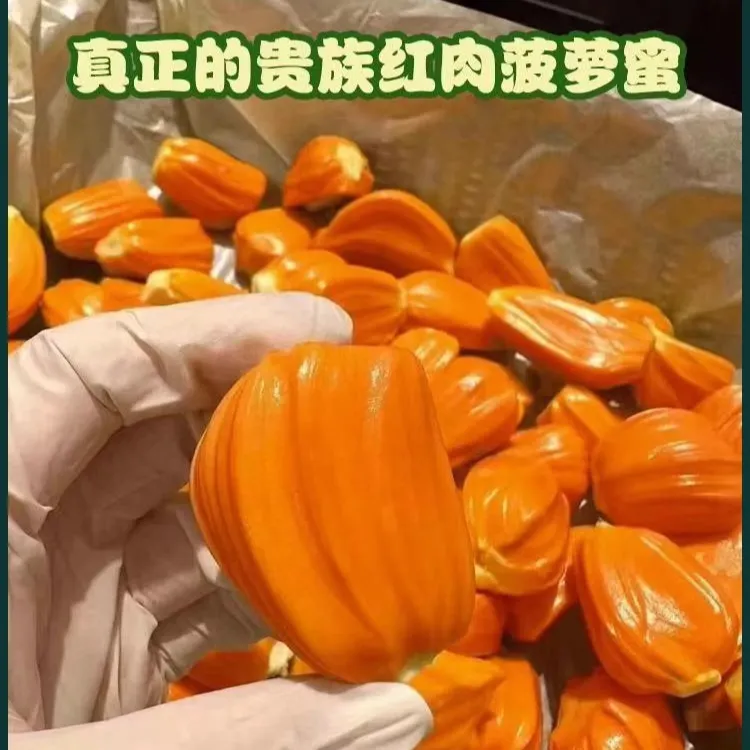 正宗越南进口印尼红肉树熟菠萝蜜新鲜干苞脆甜当季水果整果发货