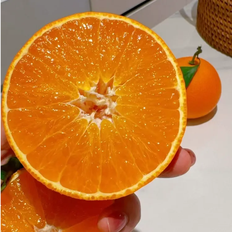 正宗四川眉山爱媛果冻橙38号新鲜采摘水果坏果包赔（精品套袋果）