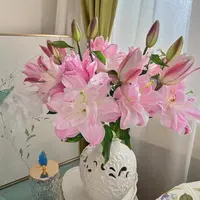 2头【粉钻/双钻】清香型重瓣百合高级樱花粉色系大花包花型超长花期