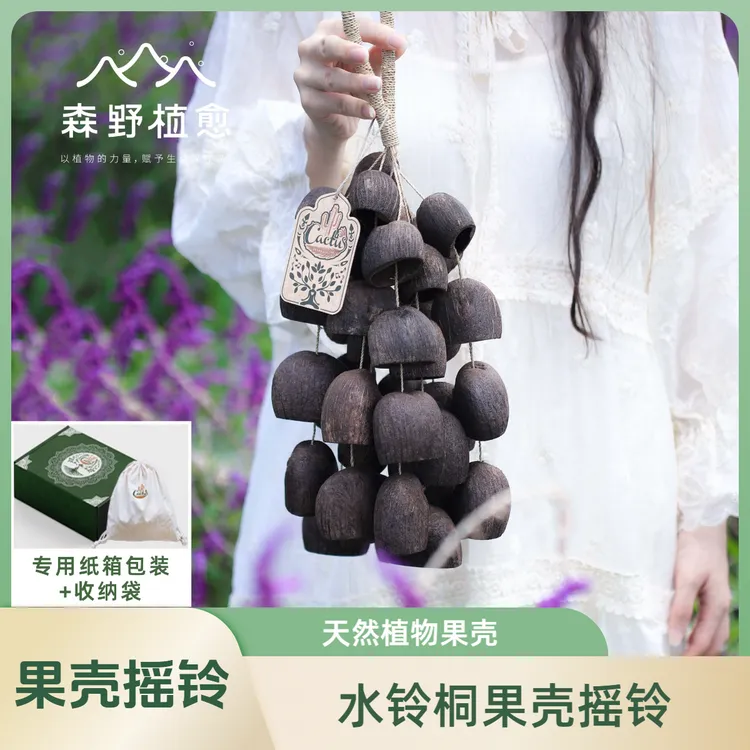 水铃桐果壳摇铃 植物果壳伴奏手摇铃黑果果壳风铃果壳乐器