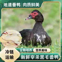 【兵哥】农家放养番鸭  单只净重4-5斤 冷链运输