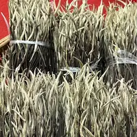 那罕白龙须贡茶古树云南白茶散茶