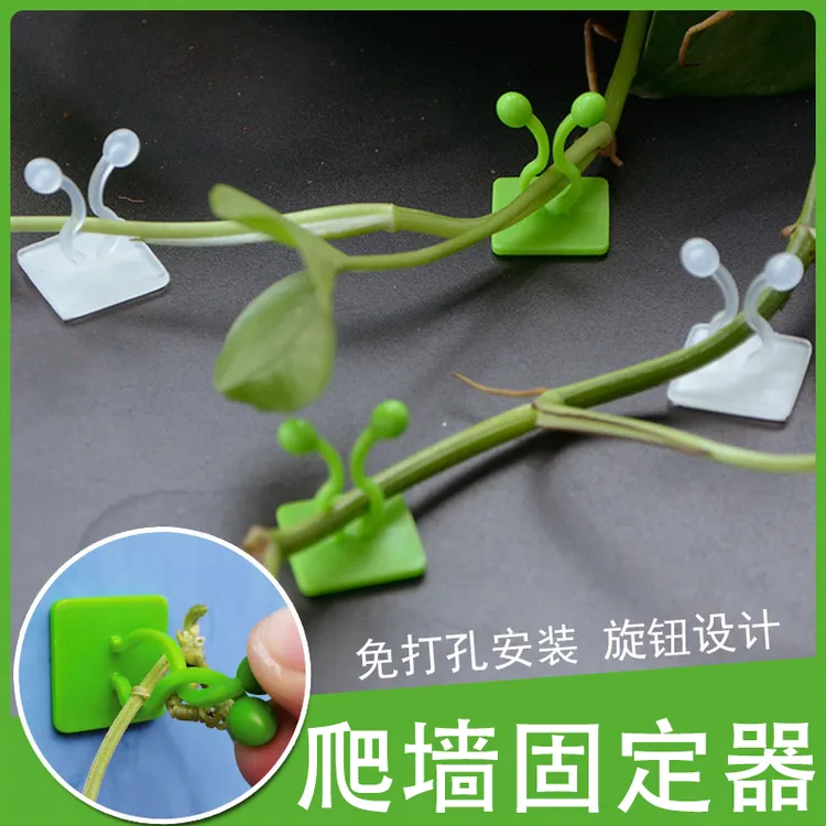 【脱落包赔】月季爬墙固定器绿萝上墙神器隐形无痕免打孔攀爬理线器商品图