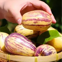 【遇见美物】甘肃民勤人参果 3斤5-10个/4.5斤5-10个