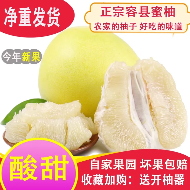 正宗容县蜜柚白柚广西特产蜜柚酸甜可口蜜柚新鲜当季水果蜜柚白柚