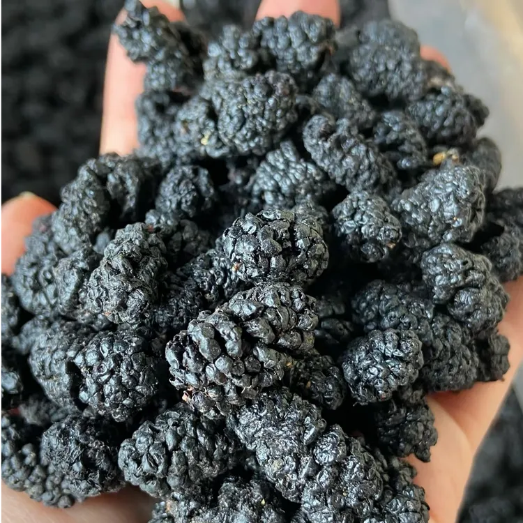 【桑葚】免洗新疆黑桑葚干自然晾晒干净无沙桑葚大果即食泡水泡酒