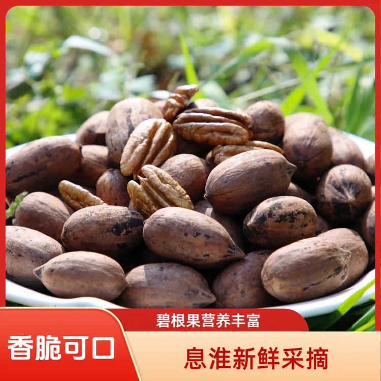 2025年淮息新鲜采摘原味碧根果长寿果1斤3斤5斤包邮