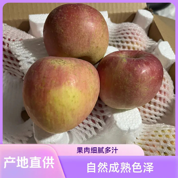 蜂王浆苹果不套袋 家乡特产口感香甜 脆甜多汁 营养丰富 产地直发
