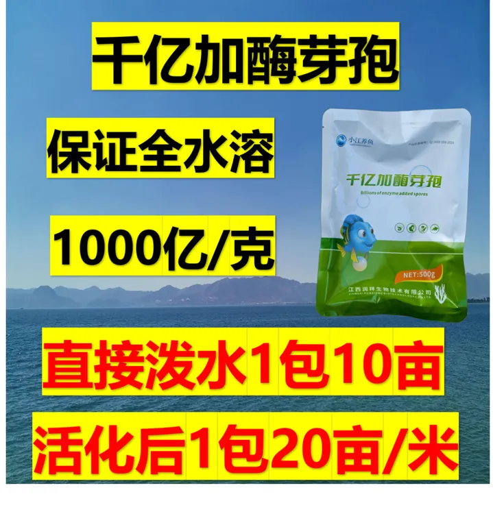 千亿加酶芽孢 全水溶 真正的1000亿芽孢原粉