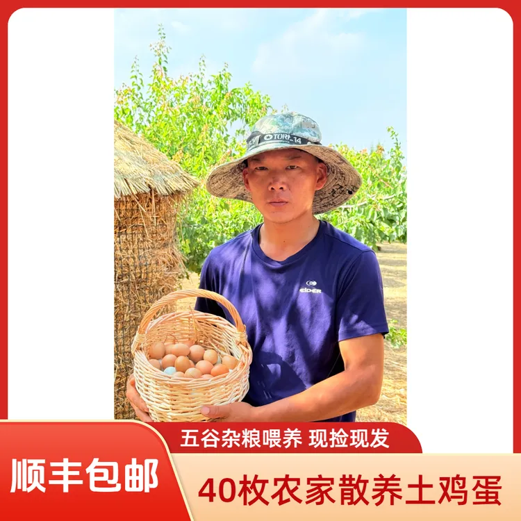 （顺丰包邮）40枚散养土鸡蛋 五谷杂粮林间散养土鸡蛋100%纯土鸡蛋