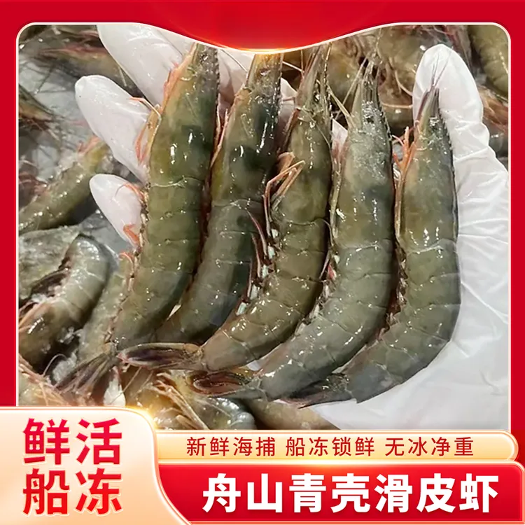 岸上专用【野生海捕滑皮虾】青壳虾 条虾 剑虾肉质鲜嫩Q弹 红烧白灼