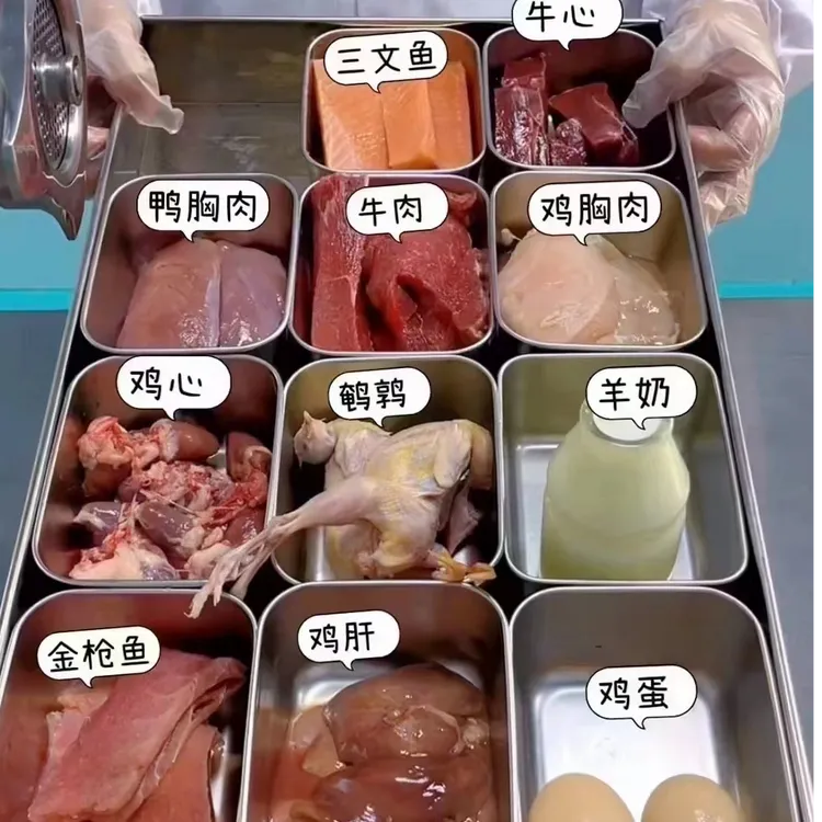 鲜给它鲜制猫饭猫湿粮通用自制鲜食零食开袋即食主粮营养易消化