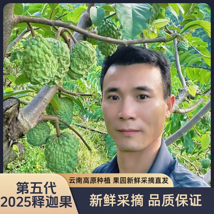 【第五代释迦】牛奶释迦果 精选优质果 软糯香甜 新鲜采摘 果园直发