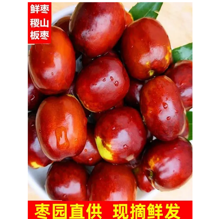 山西稷山板枣新鲜应季水果现摘现发脆甜可口非冬枣