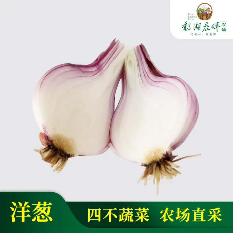 六哥农场—无农残洋葱