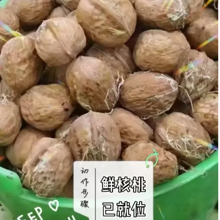 新鲜去青皮鲜核桃老树核桃香脆可口孕妇零食