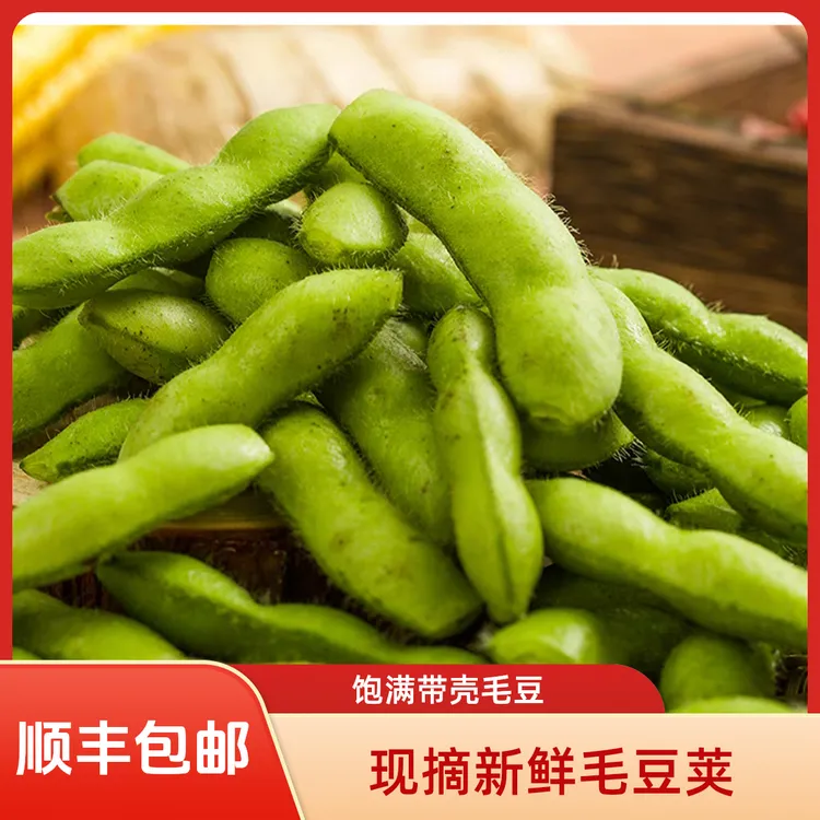 现摘毛豆新鲜饱满带壳毛豆荚鲜嫩可口顺丰5斤配