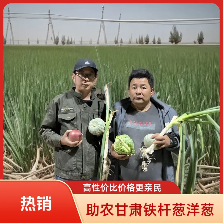 甘肃银贝贝南瓜 洋葱现挖现发 铁杆大葱（蔬菜三类大礼包组合）