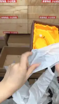 黄玉菩提带猫爪商品链接@@L052