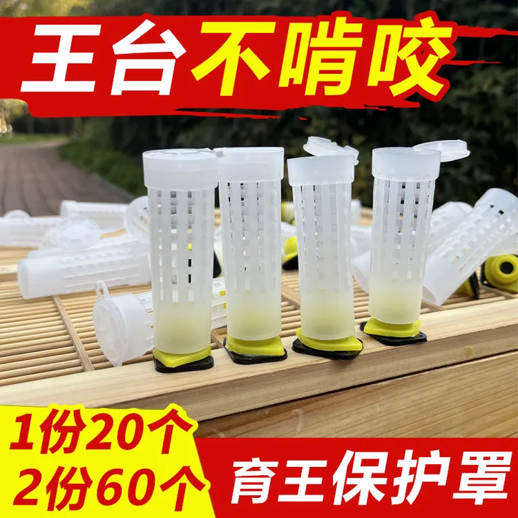 培育蜂王台保护罩加厚塑料王台基介台放啃咬王台罩养蜂工具