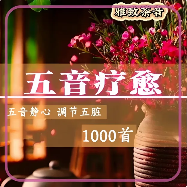 养生五音疗法静心养生缓解压力轻音乐身心舒缓中医五音疗愈U盘