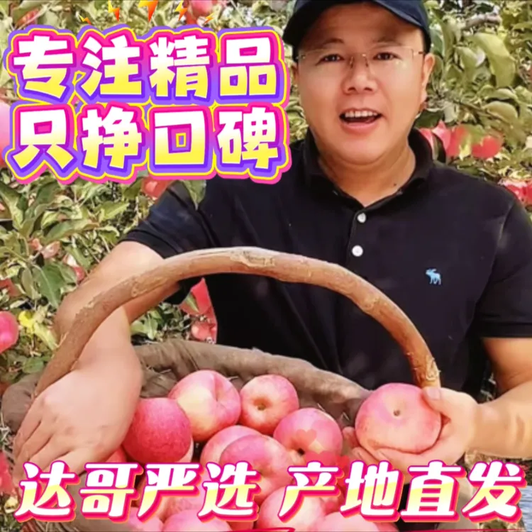 【中秋送礼】2025陕西洛川原产地红富士苹果 新鲜爽脆香甜