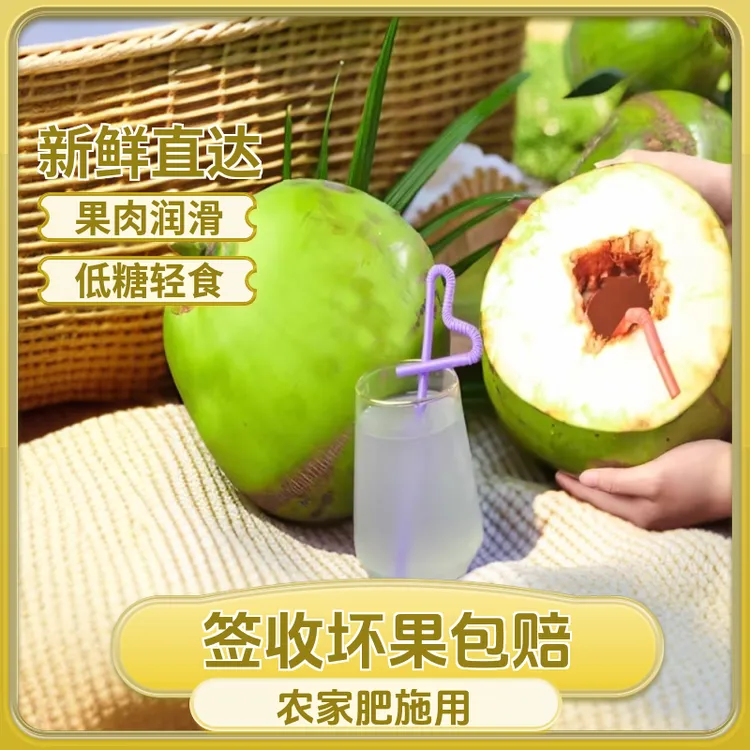 8三海金芒【带皮青椰子】海南原产新鲜采摘汁水饱满孕妈妈小孩水果