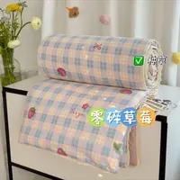 零碎草莓云感双层纱春秋被2025新款可机洗春秋多用被单人被子