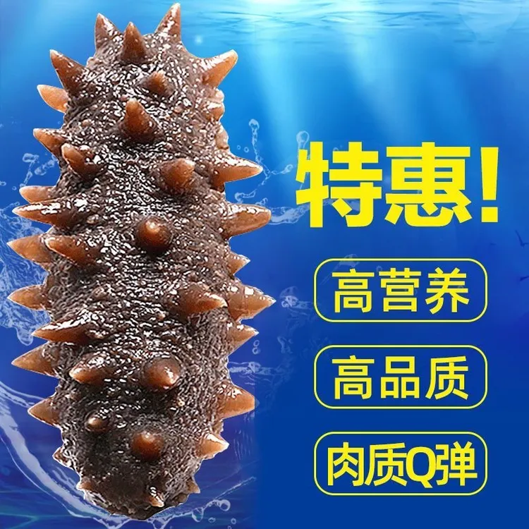 【独立包装】正宗辽刺参即食海参辽参刺参开袋即食海参500g/袋