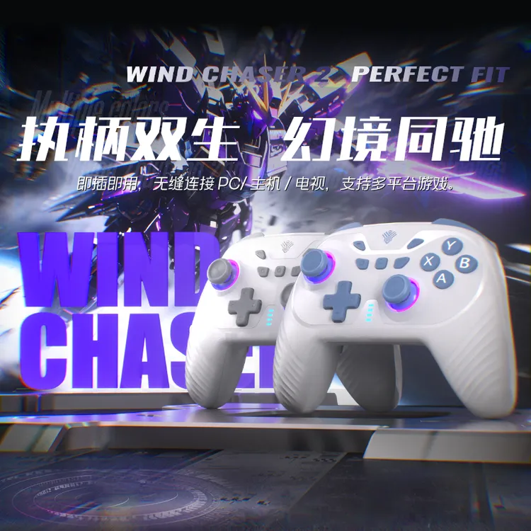 【双人手柄】追风2霍尔体感震动steam电脑电视PC无线双人成行手柄