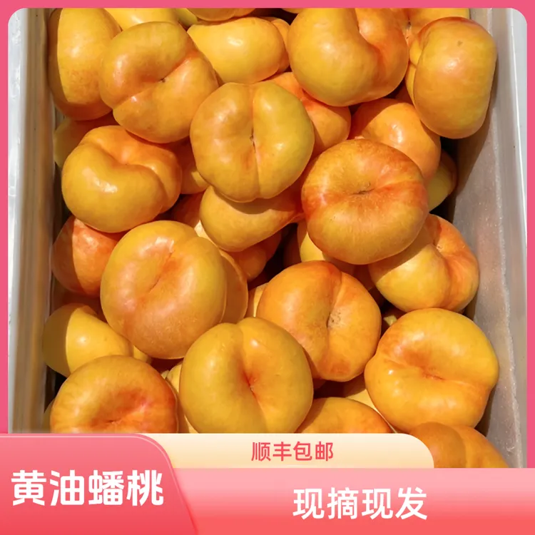 小冬桃水蜜桃新鲜水果桃子甜桃应季水果鲜桃现摘毛桃果园产地直发