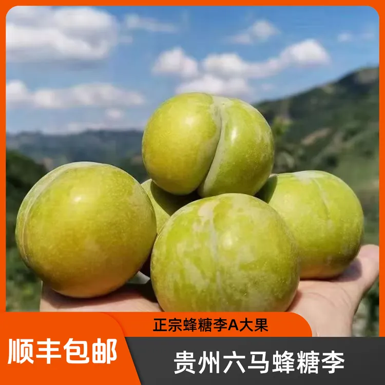 正宗贵州镇宁六马蜂糖李防伪溯源又脆又甜礼盒精品A大果顺丰/京东
