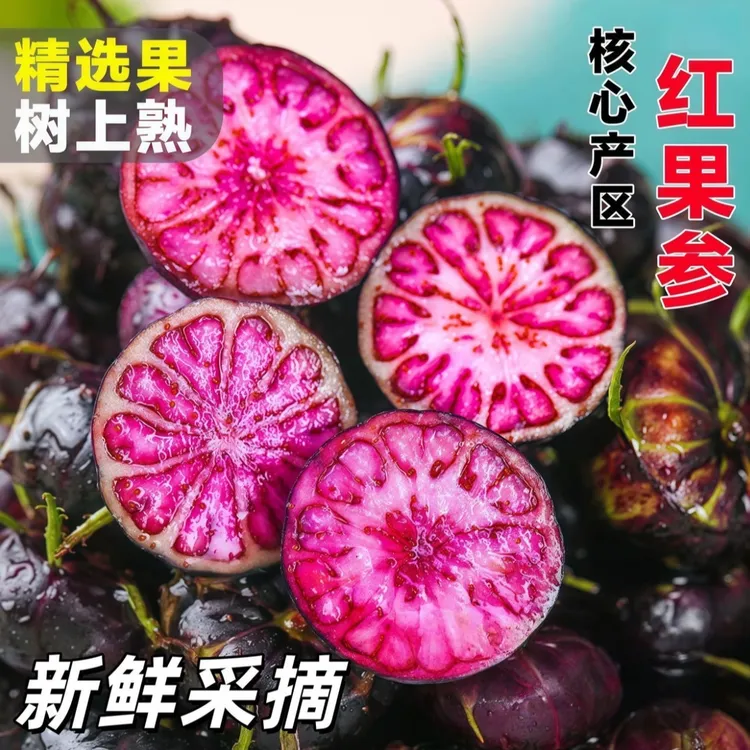 【新鲜采摘】王书记云南文山稀有果实蜘蛛果红果参新鲜采摘发货