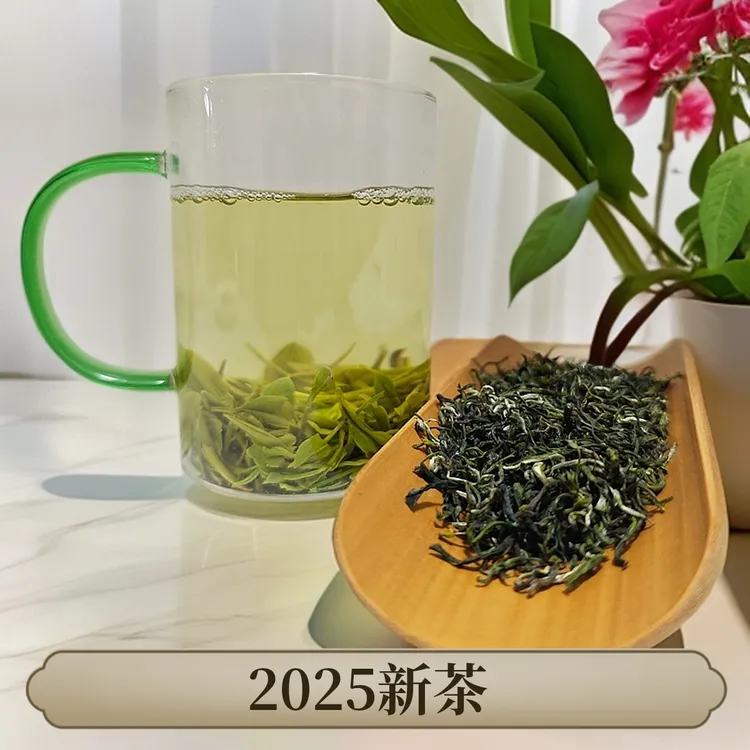 2025年新茶陕南安康高山马泥茶明前茶一级毛尖绿色栗香花香罐装