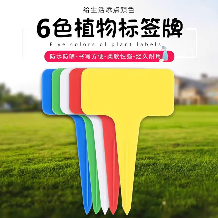 【100张送防水笔】植物标签园艺标签T型多肉彩色指示牌微景观插地牌