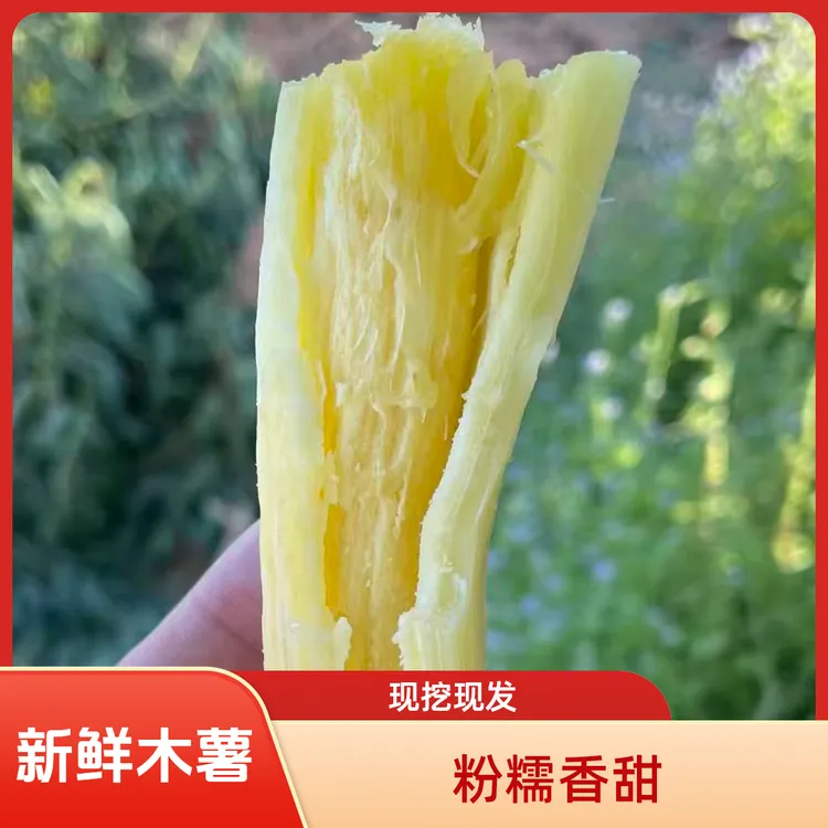 广西新鲜黄肉白肉木薯粉糯香甜现挖现发3斤起包邮