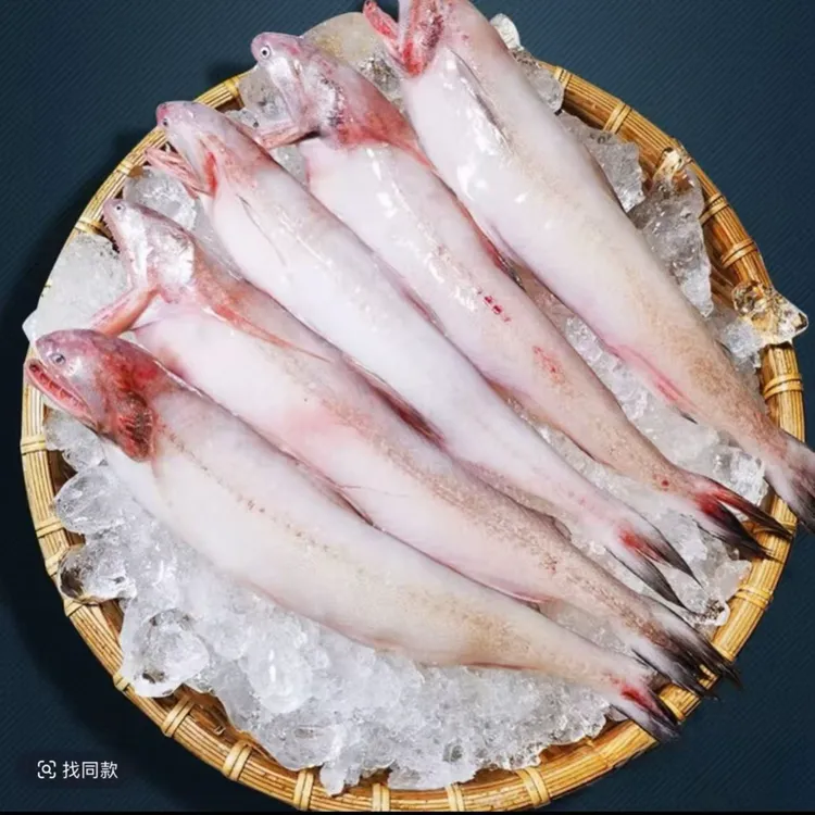 东海新鲜豆腐鱼九肚鱼水潺龙头鱼码头直发腌肉4斤顺丰冷链明太鱼